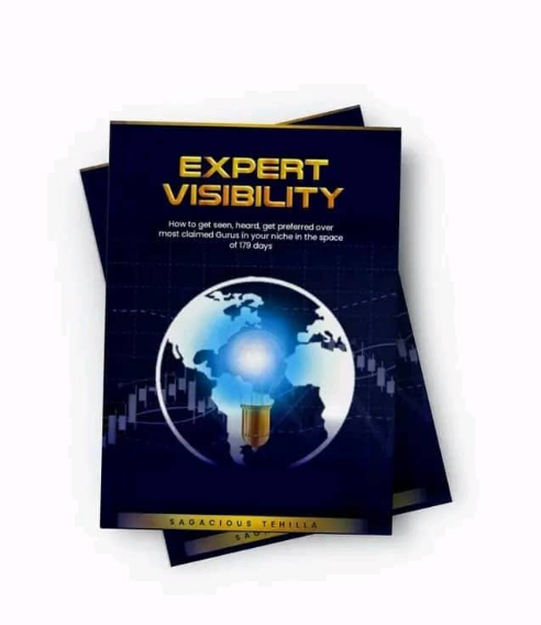 Expert Visibility book cover